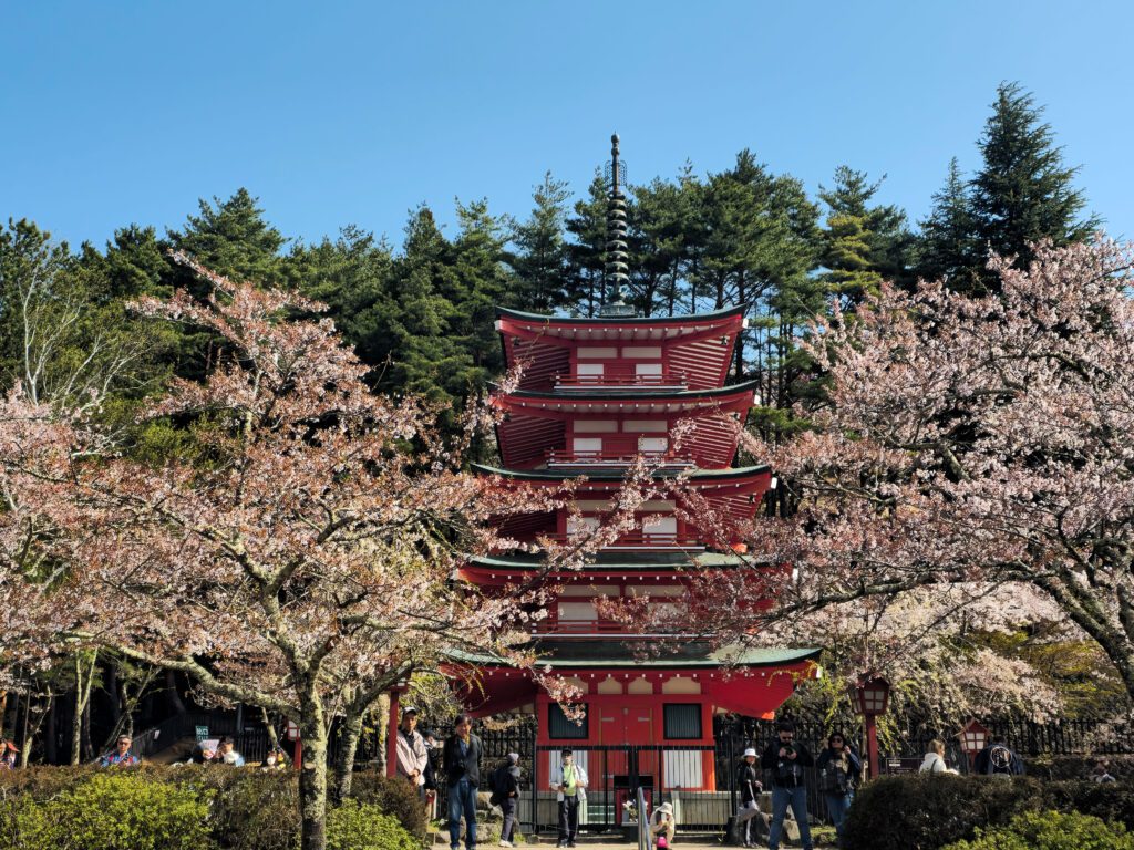 Pagoda Chureito sakura