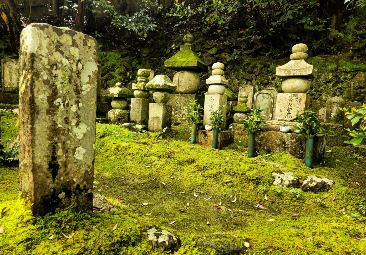 Rustic Temple Gioji Temple: A Kyoto Oasis Wrapped in Moss - Espunis in Japan
