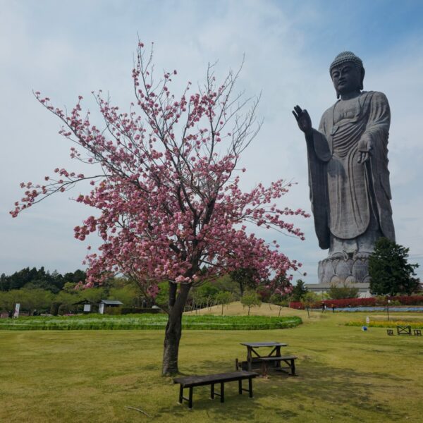 Ushiku Daibutsu: a gigantic encounter with Buddha in Japan!