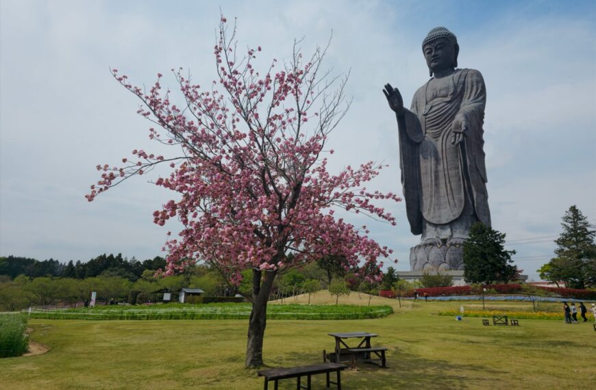 Ushiku Daibutsu: ¡el Buda más grande de Japón!