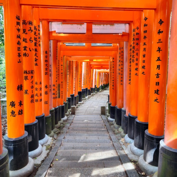Fushimi Inari Taisha and its 10,000 torii gates